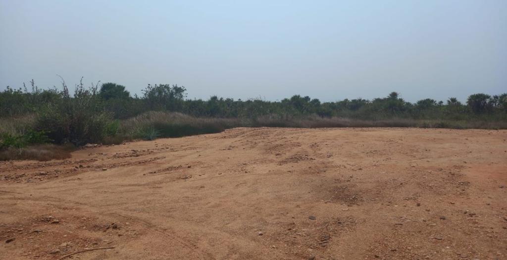 listing image with ID 54433