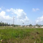 listing image thumbnail with ID 54074