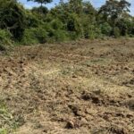 listing image thumbnail with ID 53461