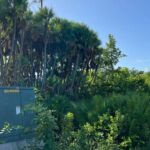 listing image thumbnail with ID 53768