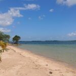 listing image thumbnail with ID 53901