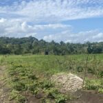 listing image thumbnail with ID 53994