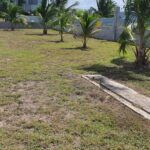 listing image thumbnail with ID 52645