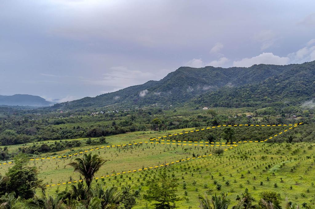 listing image with ID 56204