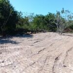 listing image thumbnail with ID 53681