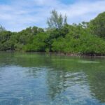 listing image thumbnail with ID 53842