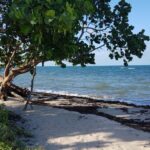 listing image thumbnail with ID 52693