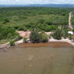 listing image thumbnail with ID 55517