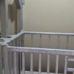 listing image thumbnail with ID 52916