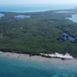 listing image thumbnail with ID 52421