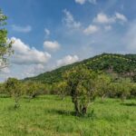 listing image thumbnail with ID 56201