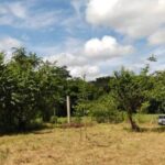 listing image thumbnail with ID 52588