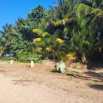 listing image thumbnail with ID 53648