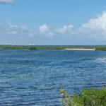 listing image thumbnail with ID 51323