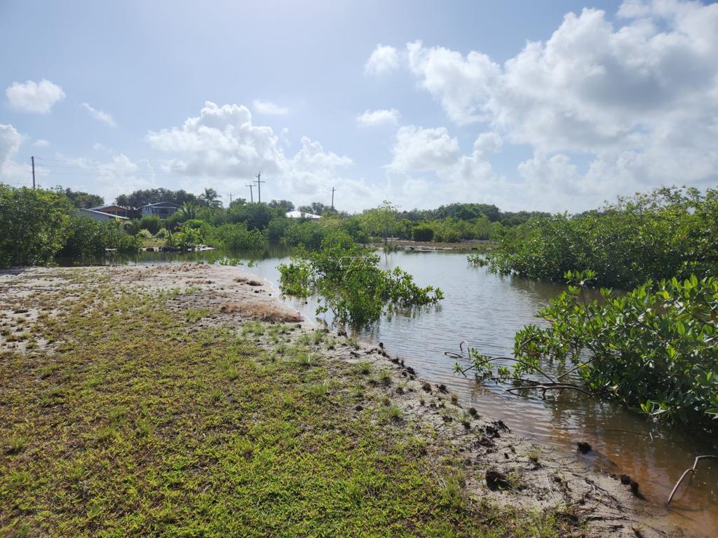 listing image with ID 51204