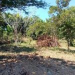 listing image thumbnail with ID 53683