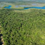 listing image thumbnail with ID 54162