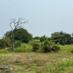 listing image thumbnail with ID 54084