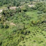 listing image thumbnail with ID 56212