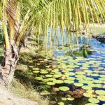 listing image thumbnail with ID 51833