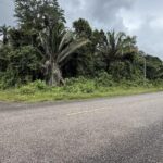 listing image thumbnail with ID 53074