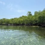 listing image thumbnail with ID 53200