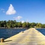 listing image thumbnail with ID 54289