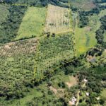 listing image thumbnail with ID 56216