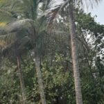 listing image thumbnail with ID 53834