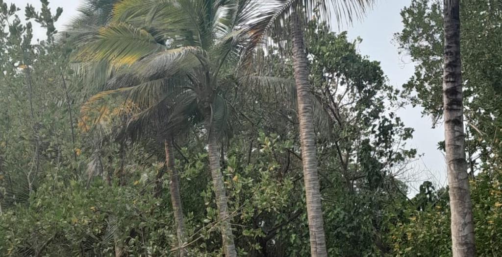 listing image with ID 53834