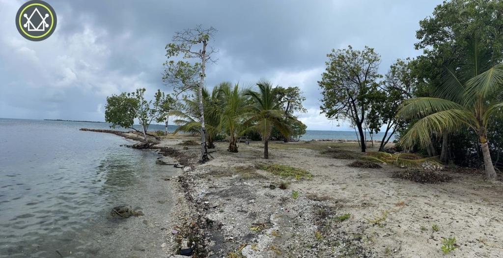 listing image with ID 53822