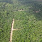 listing image thumbnail with ID 52927