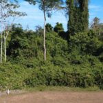 listing image thumbnail with ID 56146