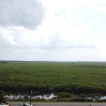 listing image thumbnail with ID 52748