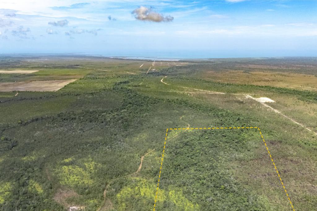 listing image with ID 51769