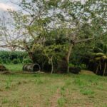 listing image thumbnail with ID 52892