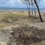 listing image thumbnail with ID 53823