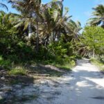 listing image thumbnail with ID 52959