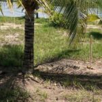 listing image thumbnail with ID 54148