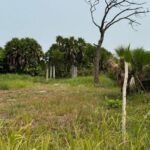 listing image thumbnail with ID 54086