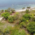 listing image thumbnail with ID 51224