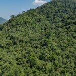 listing image thumbnail with ID 56208