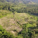 listing image thumbnail with ID 56369