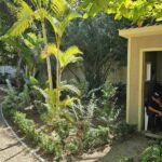 listing image thumbnail with ID 52811