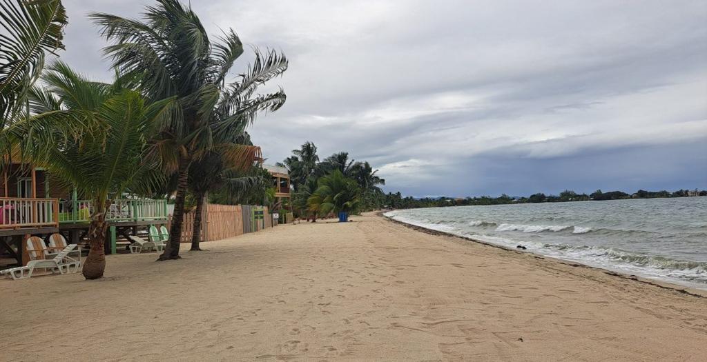 listing image with ID 54104