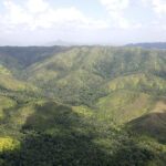 listing image thumbnail with ID 54342