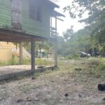 listing image thumbnail with ID 54359