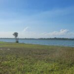 listing image thumbnail with ID 52654