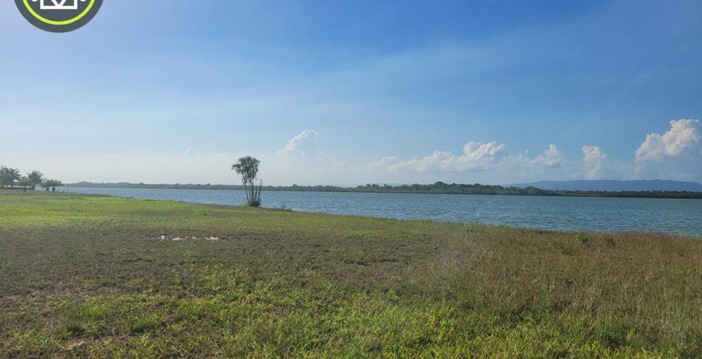 listing image with ID 52654