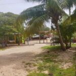 listing image thumbnail with ID 52486